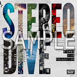 200110-SDF_StereoDive_CanBadge_sample.jpg
